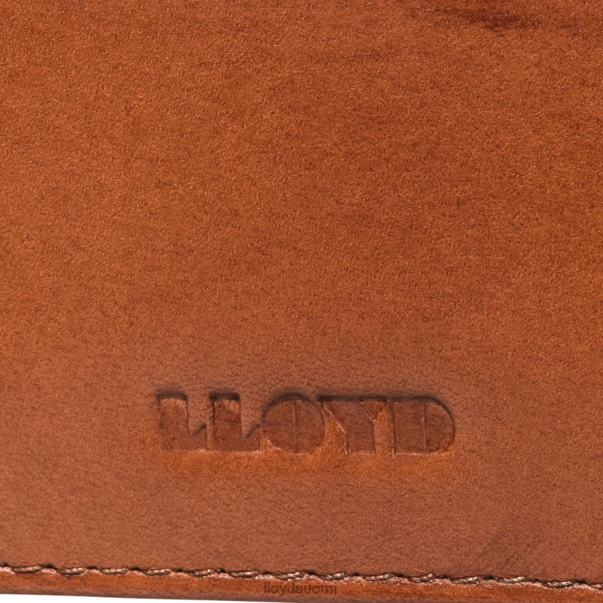 Lisätarvikkeet LLOYD luottokorttikotelo ruskea miehet 2N8DX661