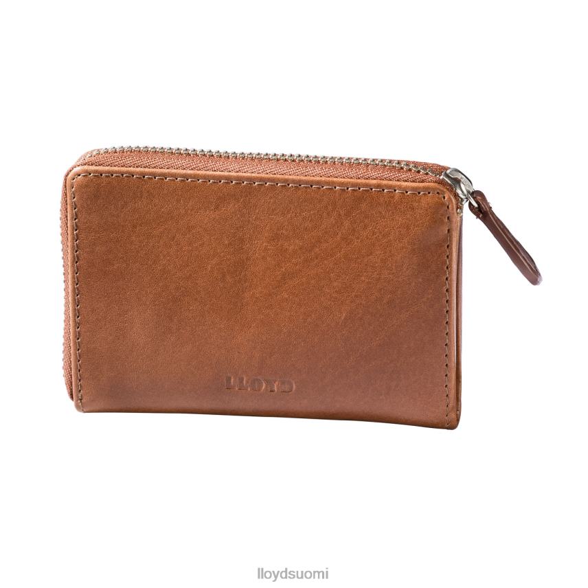 Lisätarvikkeet LLOYD näppäinpussi ruskea miehet 2N8DX663