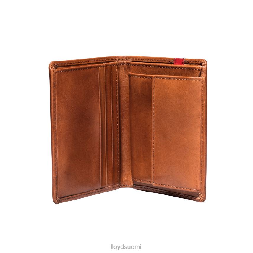 Lisätarvikkeet LLOYD tasku ruskea miehet 2N8DX656