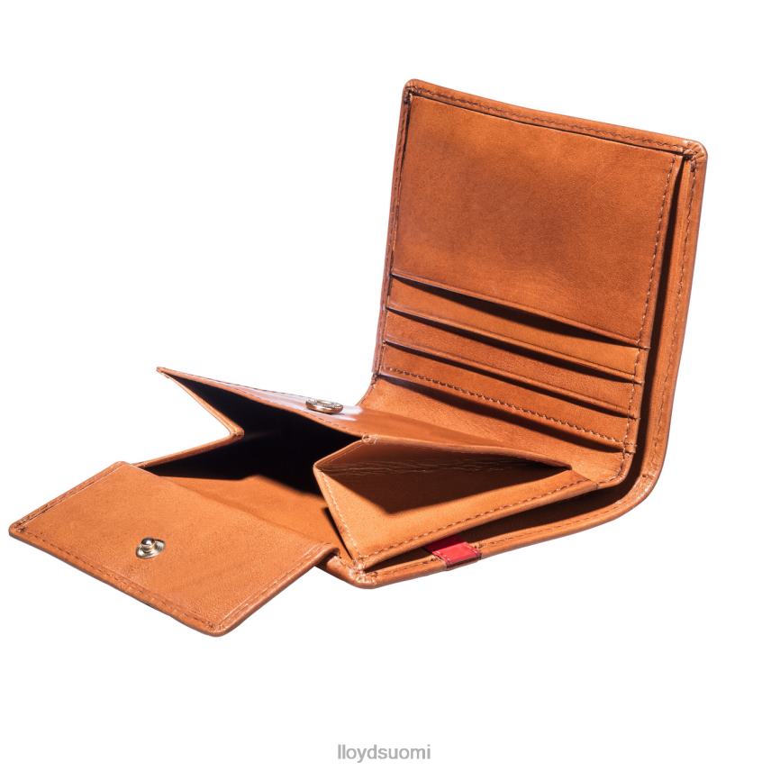 Lisätarvikkeet LLOYD tasku ruskea miehet 2N8DX656