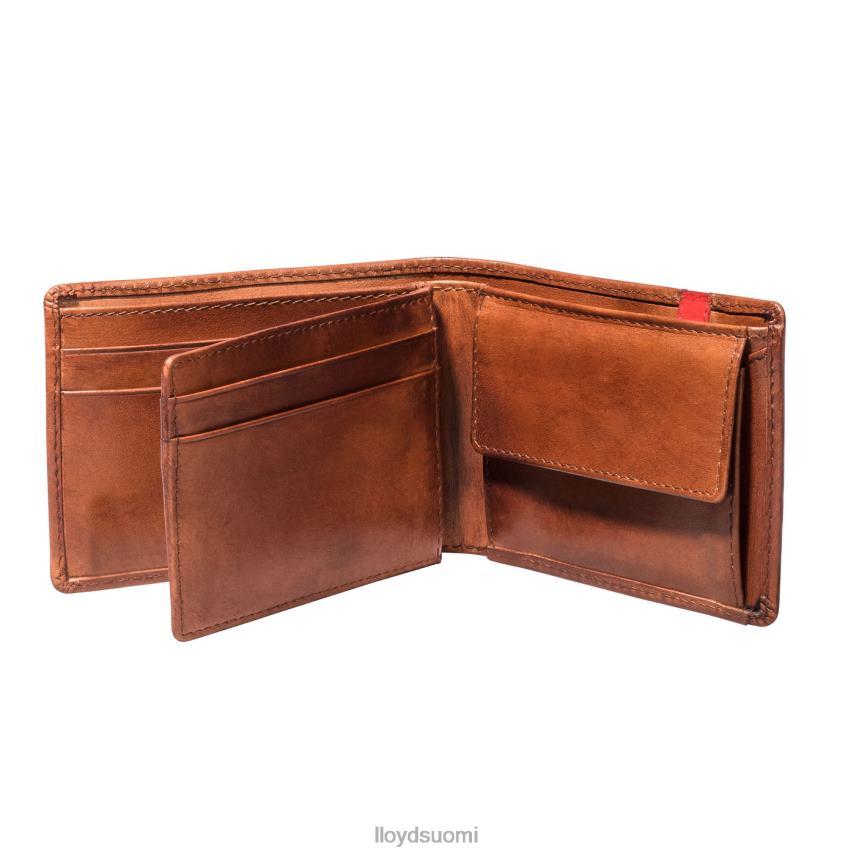 Lisätarvikkeet LLOYD tasku ruskea miehet 2N8DX677