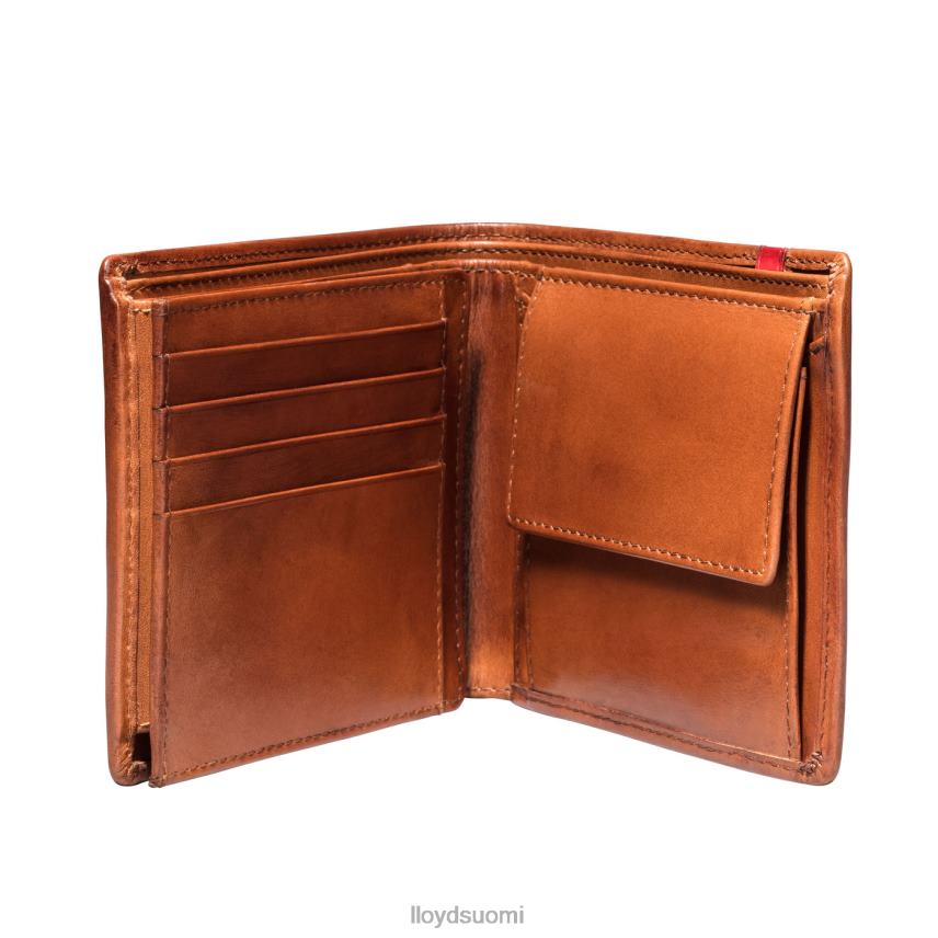 Lisätarvikkeet LLOYD tasku ruskea miehet 2N8DX680