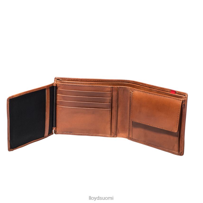 Lisätarvikkeet LLOYD tasku ruskea miehet 2N8DX680