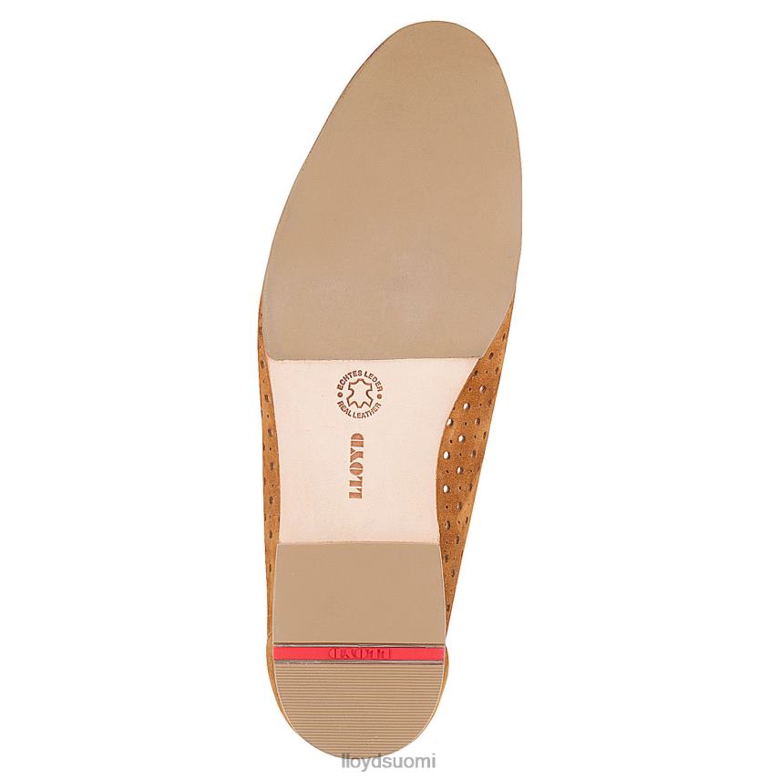 kenkiä LLOYD ballerina ruskea naiset 2N8DX1144