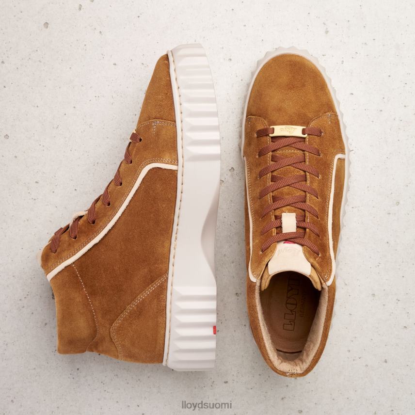 kenkiä LLOYD korkeat lenkkarit ruskea naiset 2N8DX771