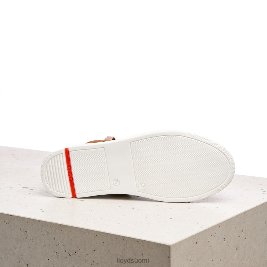 kenkiä LLOYD korkeat lenkkarit ruskea naiset 2N8DX859