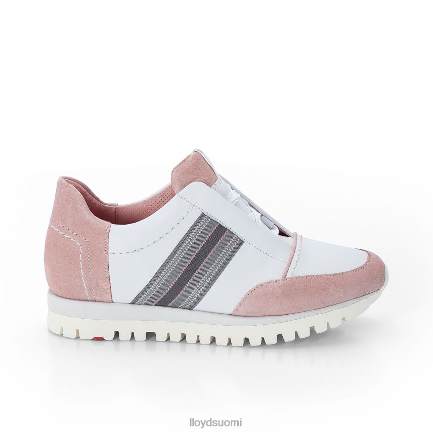kenkiä LLOYD lenkkarit valkoinen naiset 2N8DX848