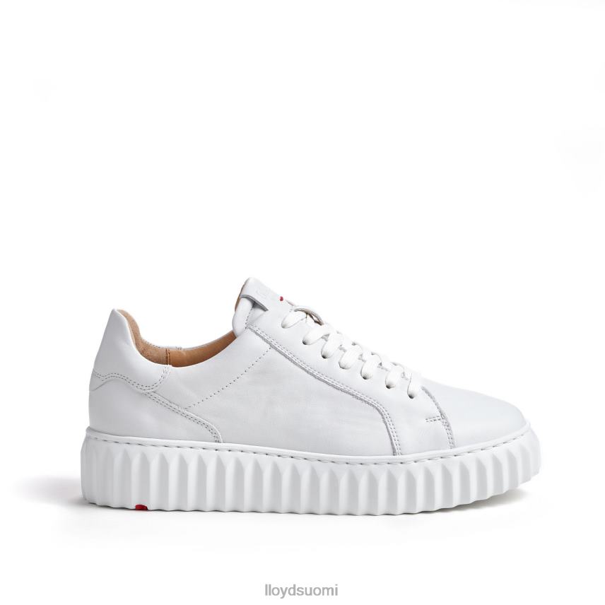 kenkiä LLOYD matalat lenkkarit valkoinen naiset 2N8DX761