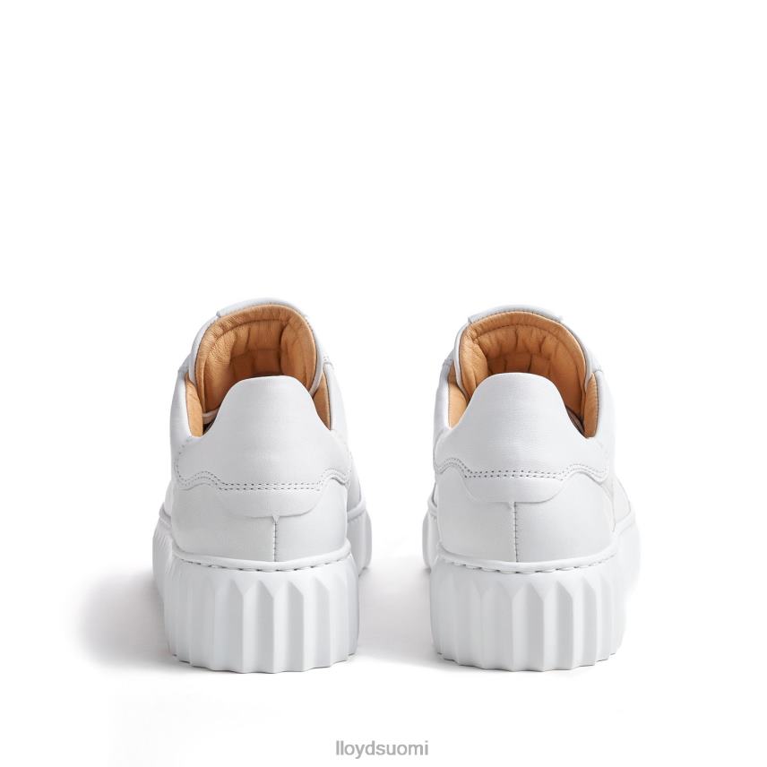 kenkiä LLOYD matalat lenkkarit valkoinen naiset 2N8DX761