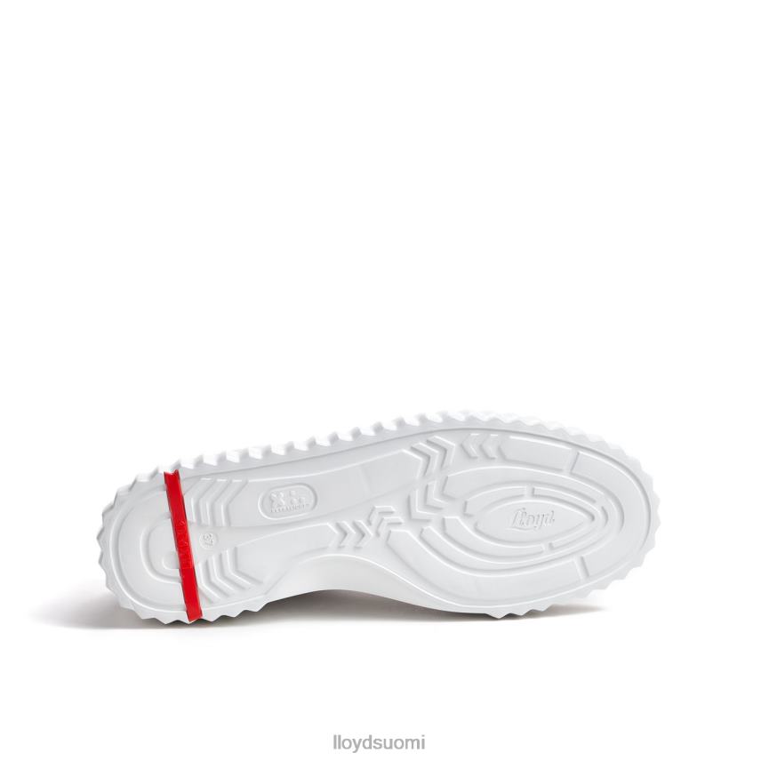 kenkiä LLOYD matalat lenkkarit valkoinen naiset 2N8DX761