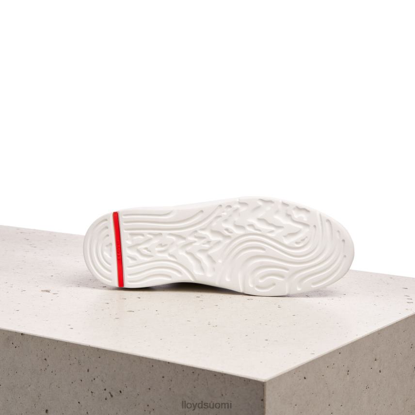 kenkiä LLOYD matalat lenkkarit valkoinen naiset 2N8DX827