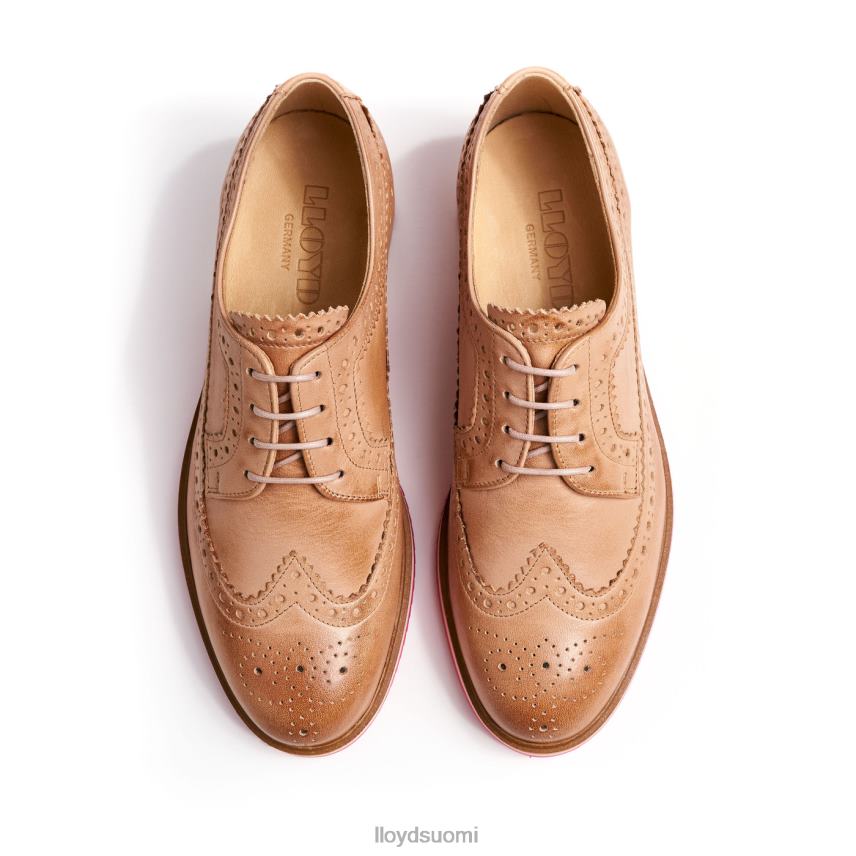 kenkiä LLOYD nauhoittaa puolikengät ruskea naiset 2N8DX1063