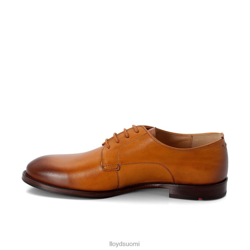 kenkiä LLOYD nauhoittaa puolikengät ruskea naiset 2N8DX1090