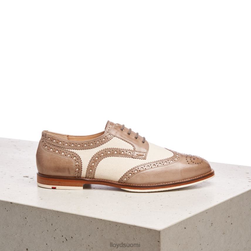 kenkiä LLOYD pitsiä nahkaisia ​​puolikengät beige naiset 2N8DX1065
