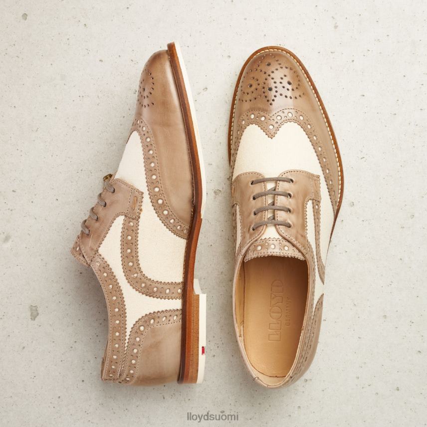 kenkiä LLOYD pitsiä nahkaisia ​​puolikengät beige naiset 2N8DX1065