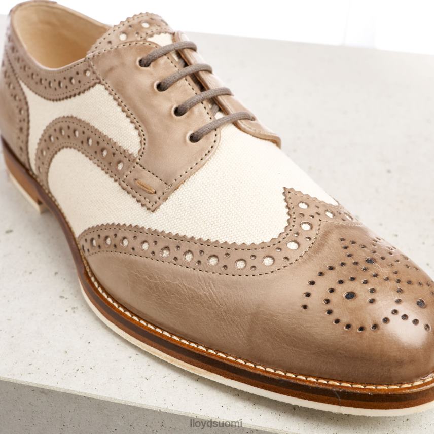 kenkiä LLOYD pitsiä nahkaisia ​​puolikengät beige naiset 2N8DX1065