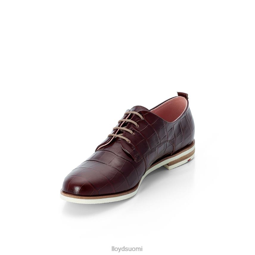 kenkiä LLOYD rogh-nahkainen pitsipuolikengät ruskea naiset 2N8DX1091