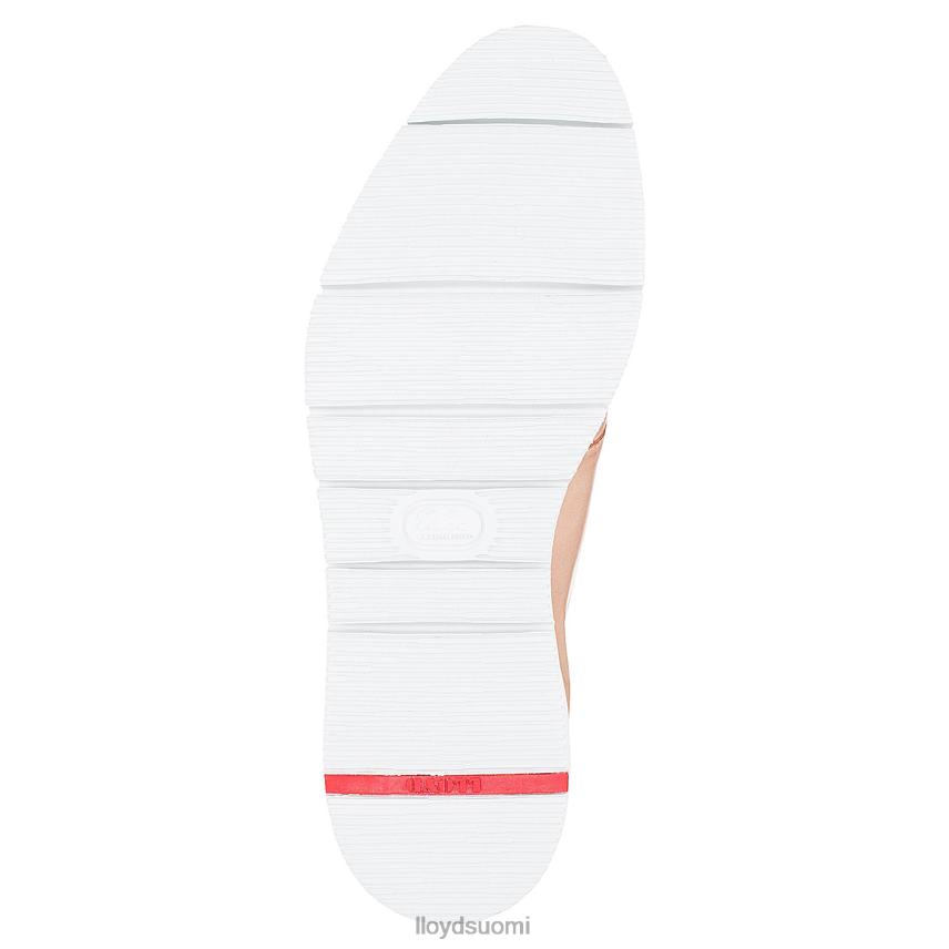 kenkiä LLOYD sileä nahka pitsipuolikengät beige naiset 2N8DX1180