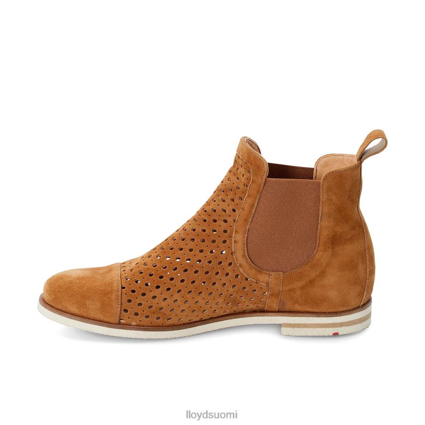 kenkiä LLOYD chelsea nilkkurit ruskea naiset 2N8DX993