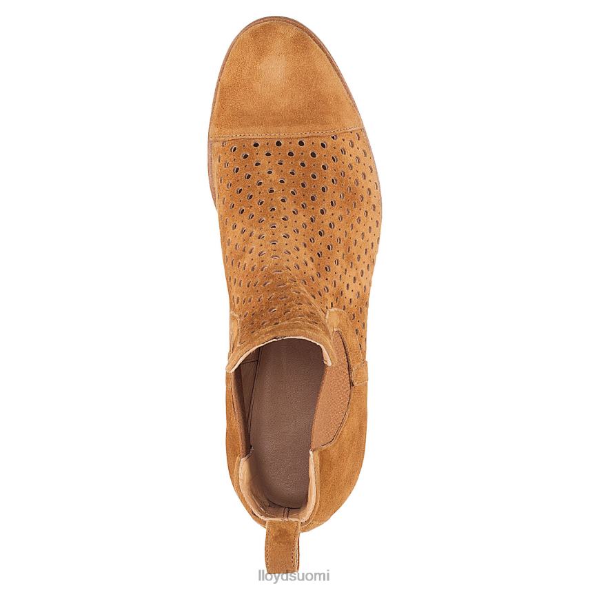 kenkiä LLOYD chelsea nilkkurit ruskea naiset 2N8DX993