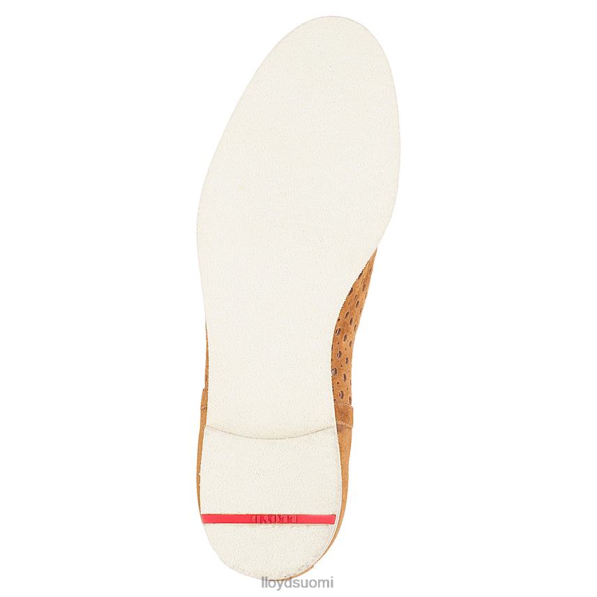 kenkiä LLOYD chelsea nilkkurit ruskea naiset 2N8DX993