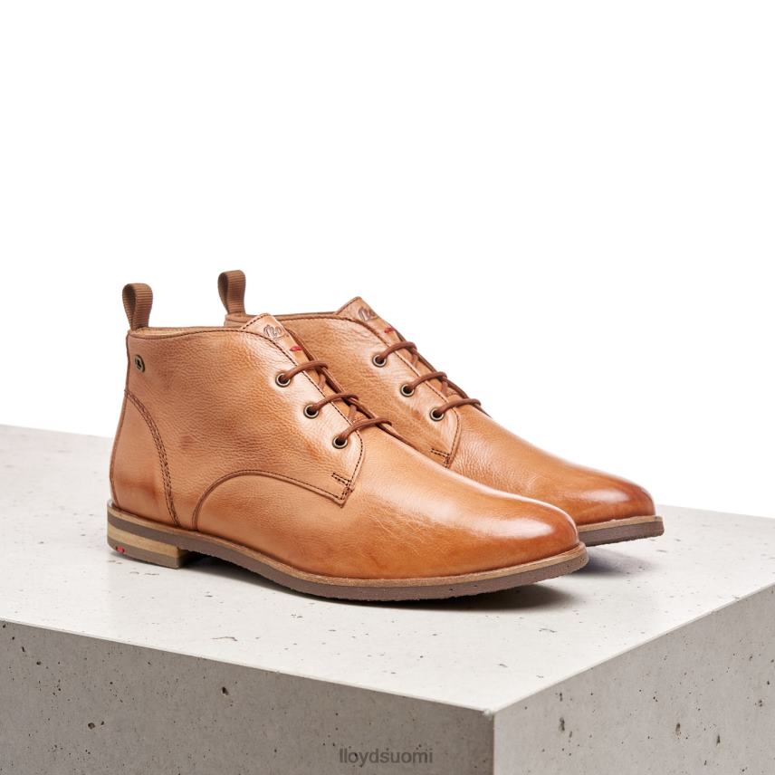 kenkiä LLOYD nauhalliset nilkkurit ruskea naiset 2N8DX994