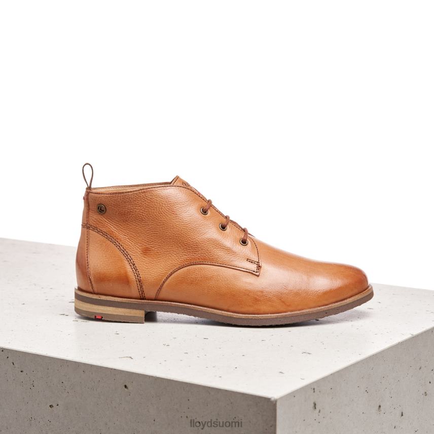 kenkiä LLOYD nauhalliset nilkkurit ruskea naiset 2N8DX994