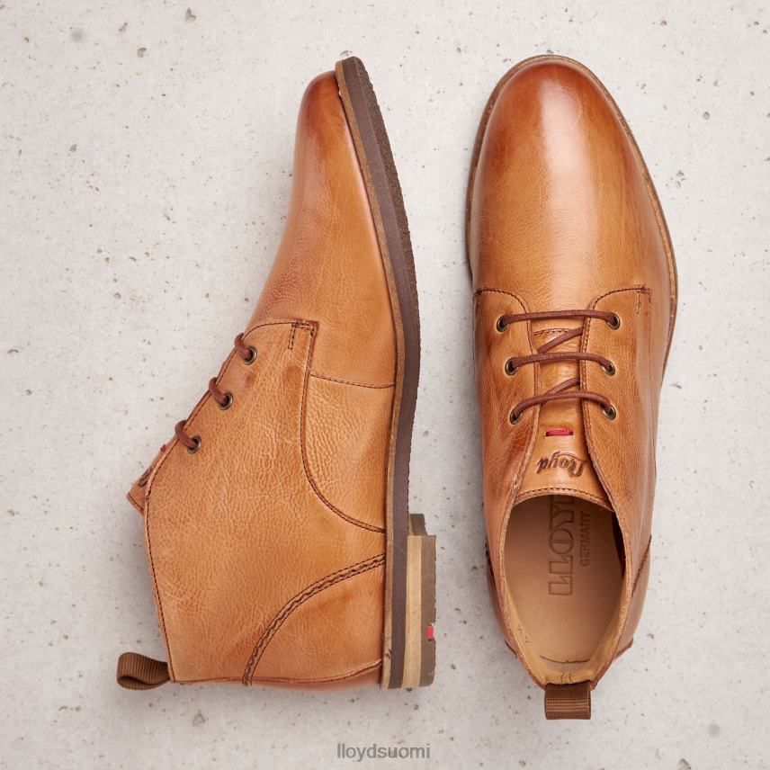 kenkiä LLOYD nauhalliset nilkkurit ruskea naiset 2N8DX994