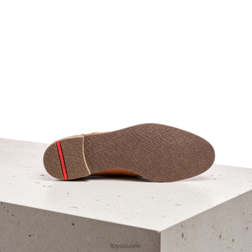 kenkiä LLOYD nauhalliset nilkkurit ruskea naiset 2N8DX994