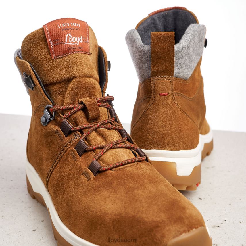 kenkiä LLOYD nilkkasaappaat ruskea naiset 2N8DX856