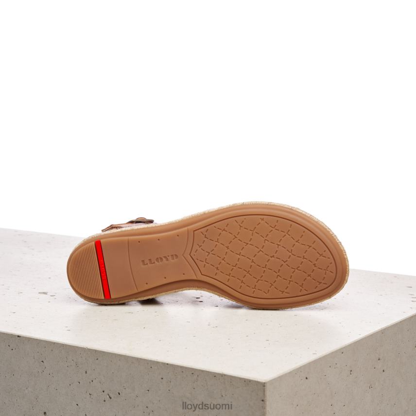 kenkiä LLOYD sandaali ruskea naiset 2N8DX1210